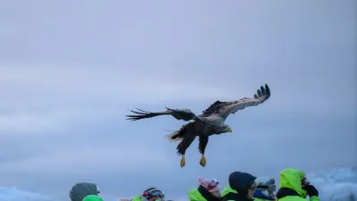 Norvegia: capodanno alle Lofoten